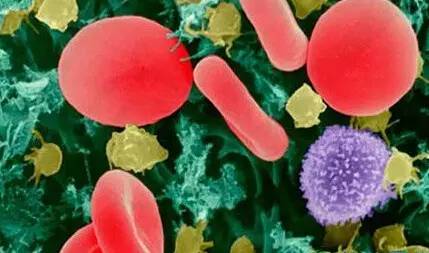 液体活检的“太子”们：ctDNA与CTC