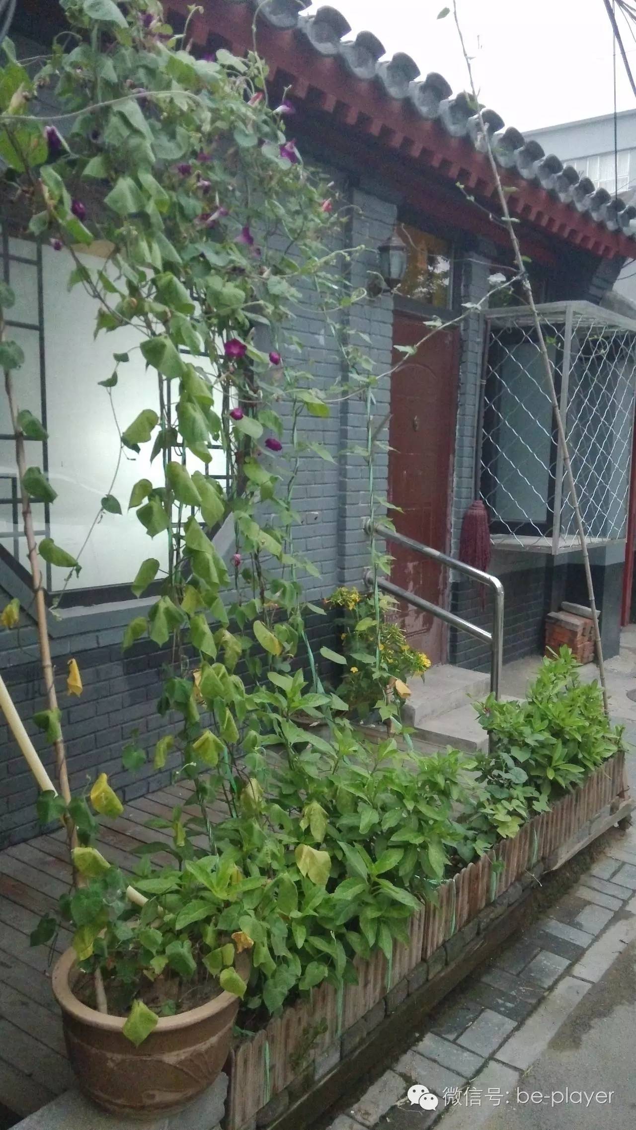 讨厌快阅读的你，可以去“摘刺”转转