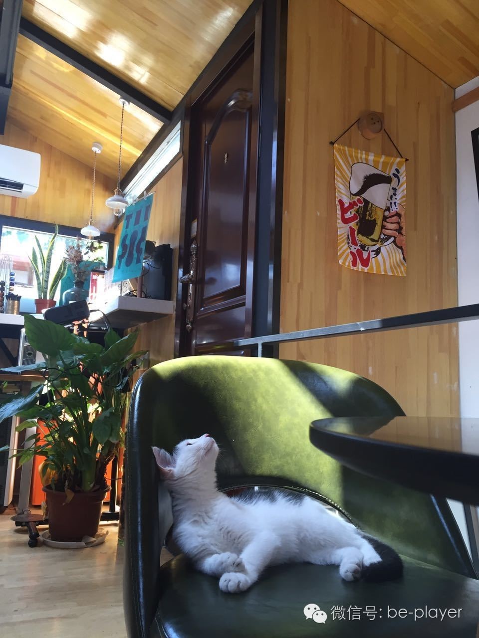 讨厌快阅读的你，可以去“摘刺”转转