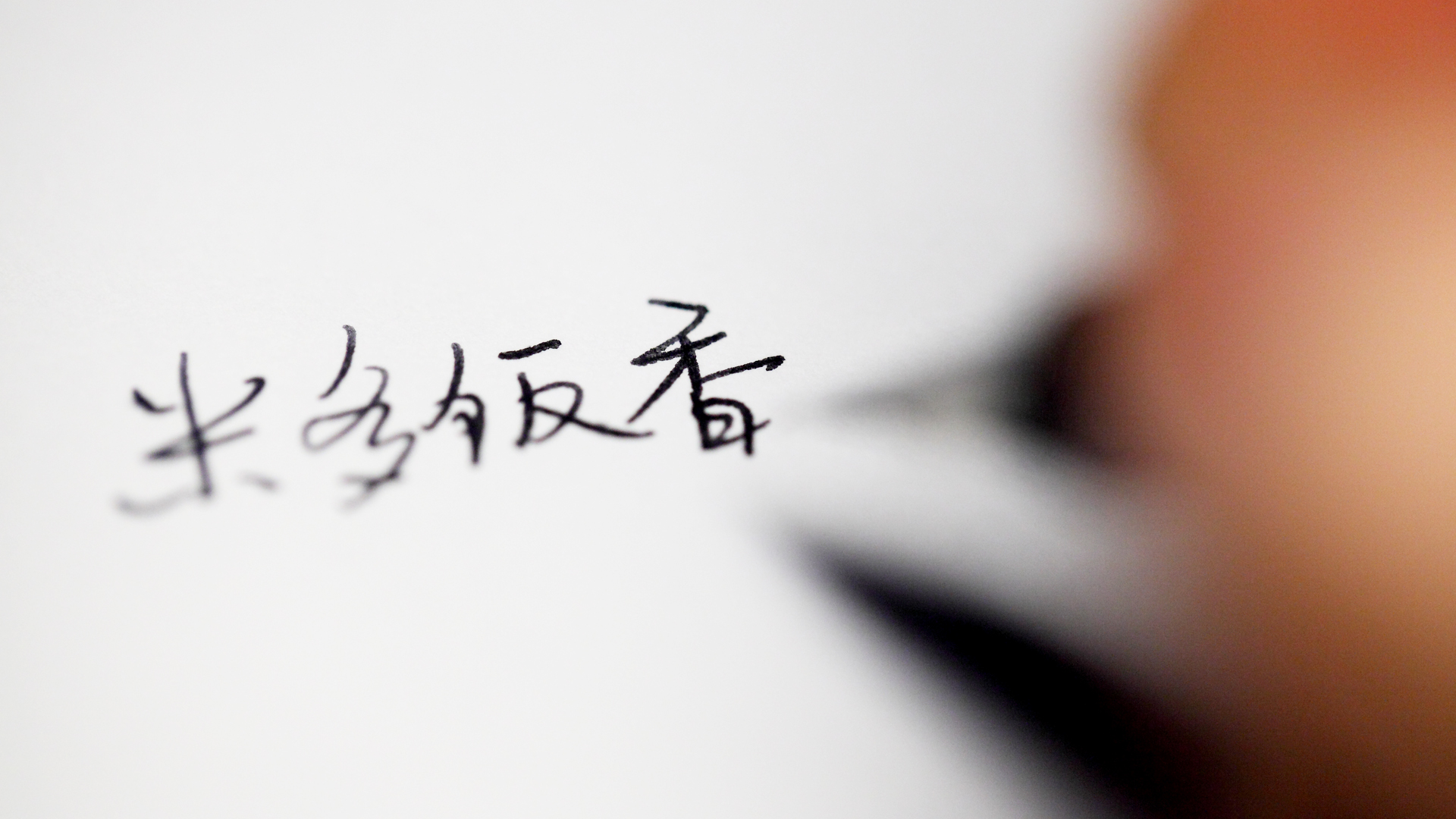 lamy钢笔全部系列,lamy钢笔的系列