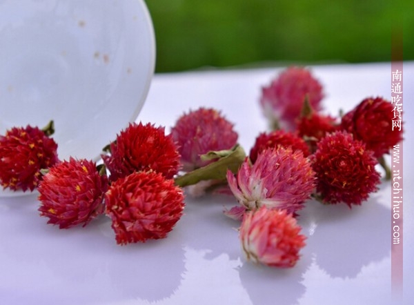 中药药用一览表 (消炎中药药用一览表)