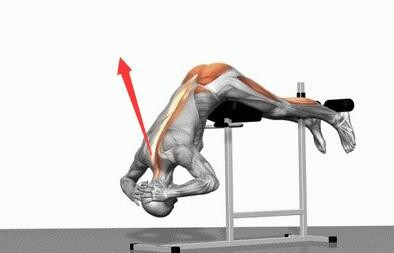 足球运动中常见的运动损伤及预防,足球运动损伤与预防参考文献