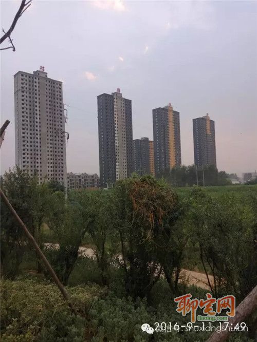 书香水岸质量怎么样,书香水岸好吗