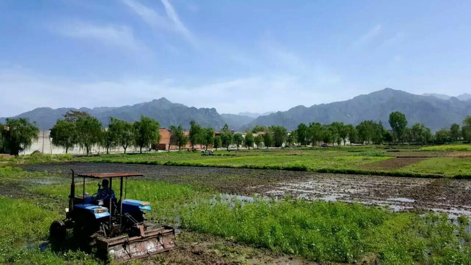 西安长安旅游怎么玩,西安长安游玩攻略