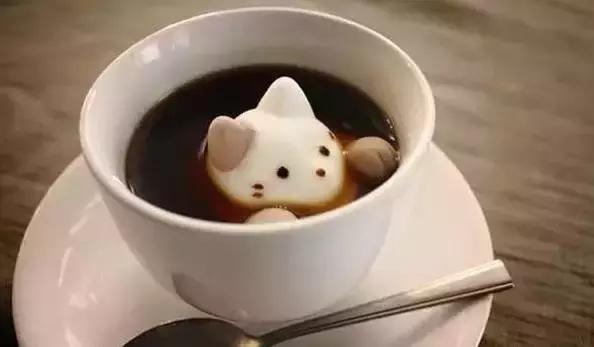 猫咪咖啡馆哪家最好,武汉有哪些猫咪咖啡厅