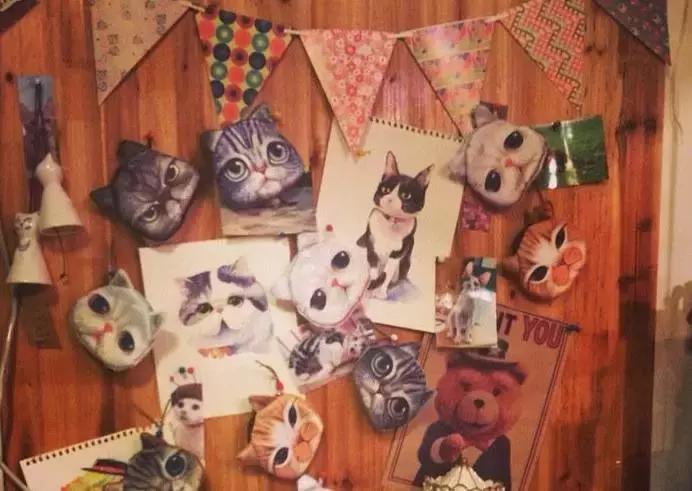 猫咪咖啡馆哪家最好,武汉有哪些猫咪咖啡厅