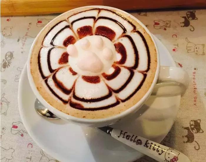 猫咪咖啡馆哪家最好,武汉有哪些猫咪咖啡厅