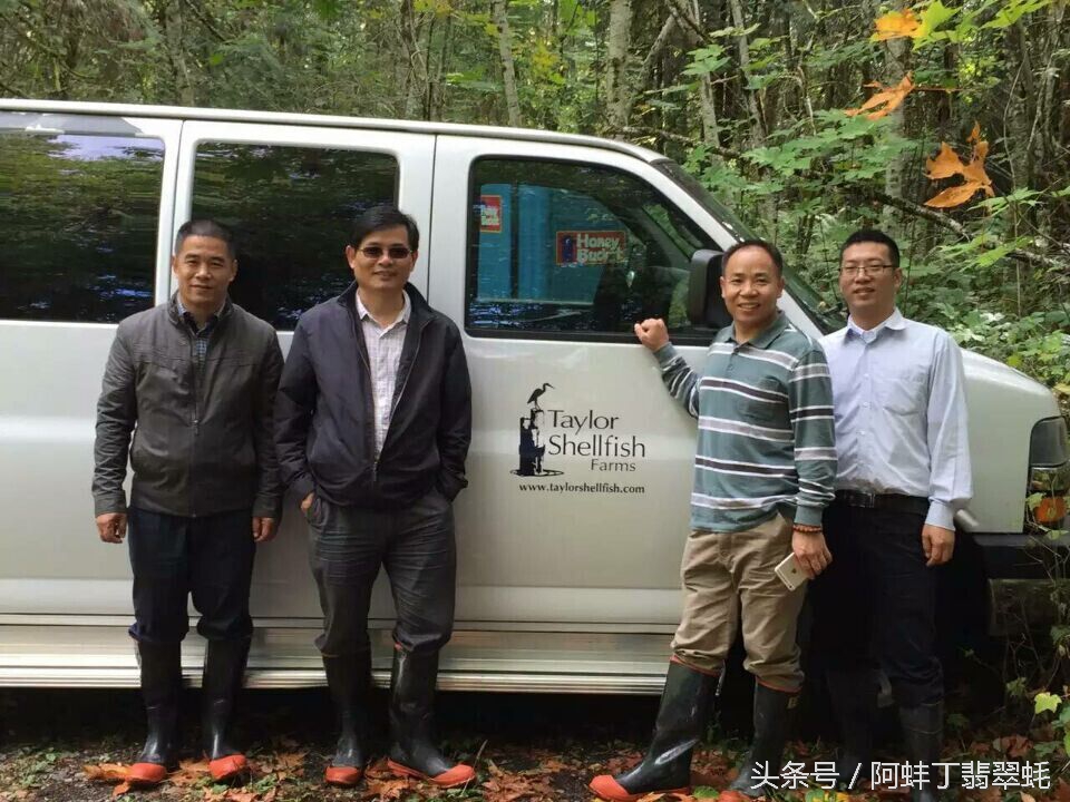 阿蚌丁牡蛎片怎么样,阿蚌丁