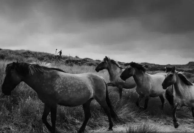 烟台和青岛哪个适合拍婚纱照,大理和丽江哪个更适合拍婚纱照