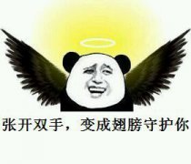 步步惊心丽撒糖,步步惊心丽全员虐心