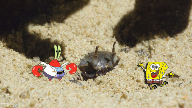 海岛兰卡威旅游,梦回兰卡威度假海岛