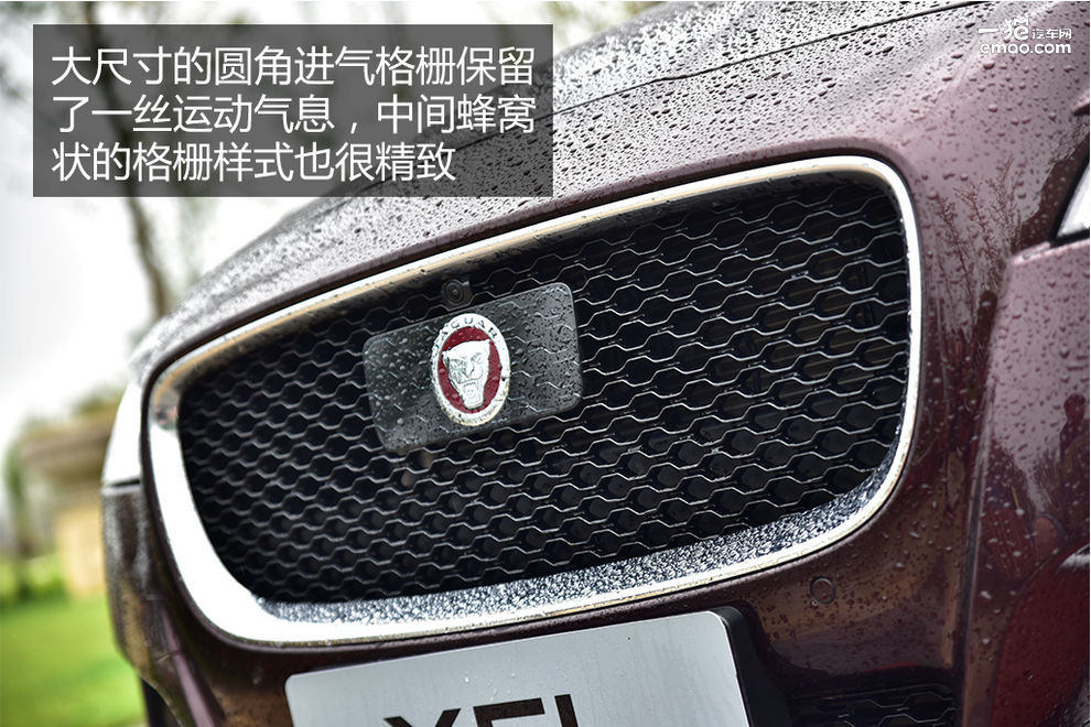 2018娆緓fl鍙樺寲,xfl鍏ㄦ柊鎹唬