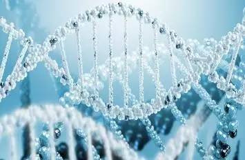 关于红斑狼疮的一些问题,中医对红斑狼疮的病因分析