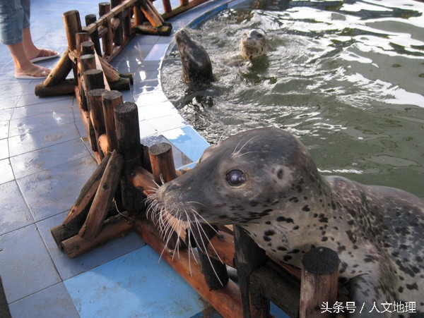 长岛美吗,长岛大美