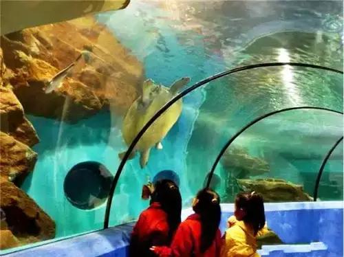 洛阳涧西区好玩的景点,洛阳35个免费景点