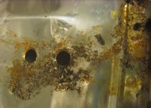 怎么样的才算是真正的不锈钢,怎样才是真正的不锈钢