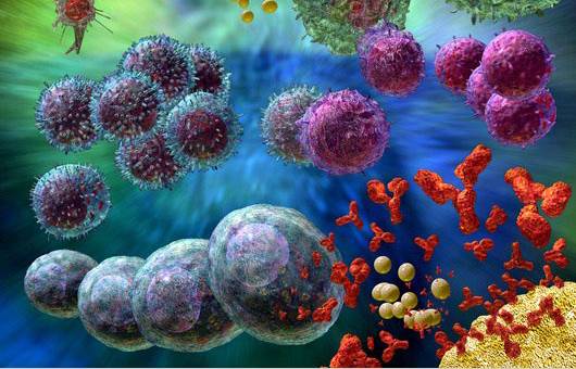 液体活检的“太子”们：ctDNA与CTC