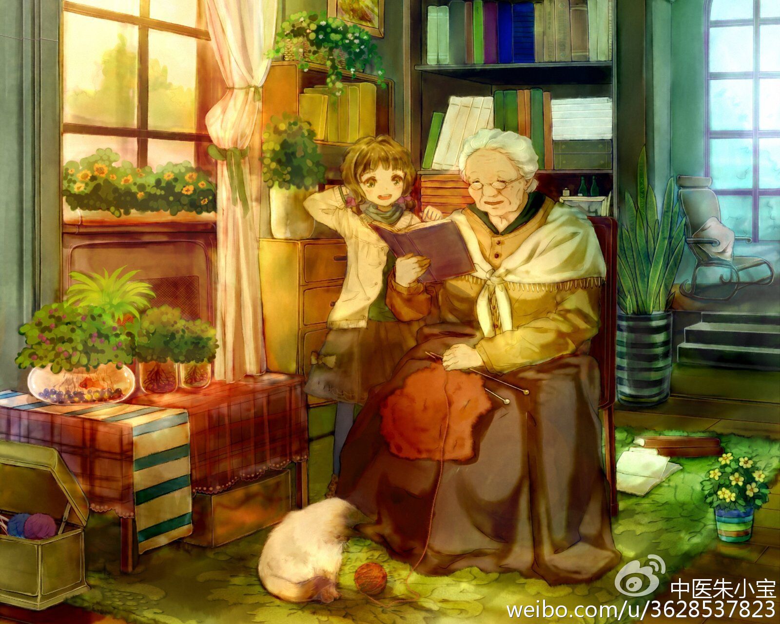 专治积食的土方,山楂加一物专治积食