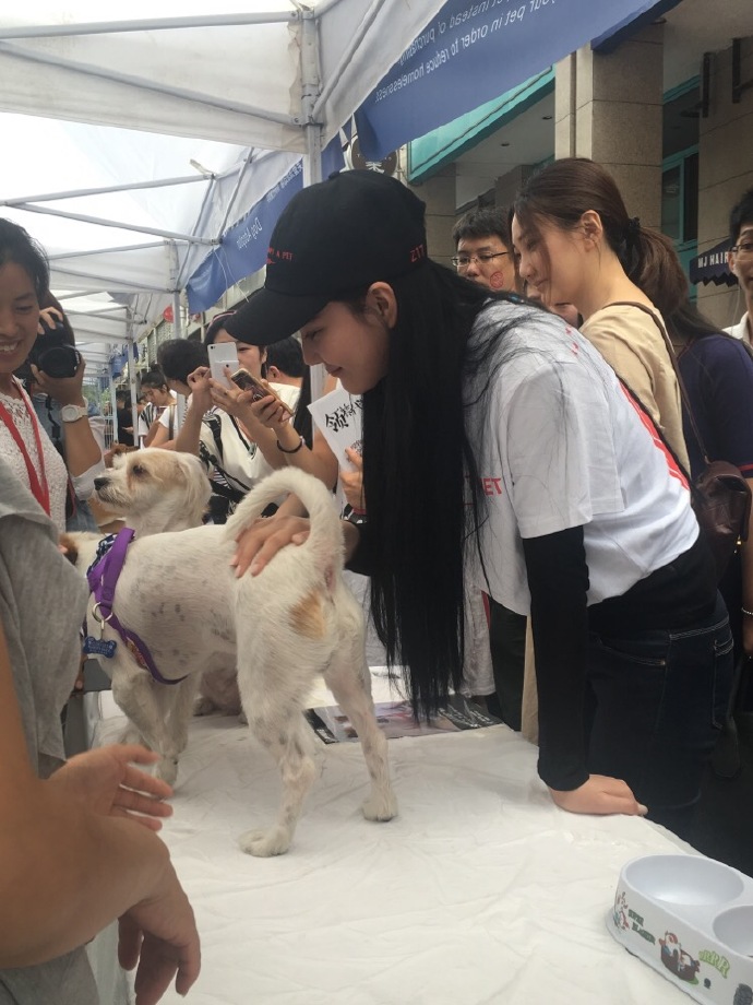 馨予出席宠物领养日很有爱,为何却被网友吐槽!