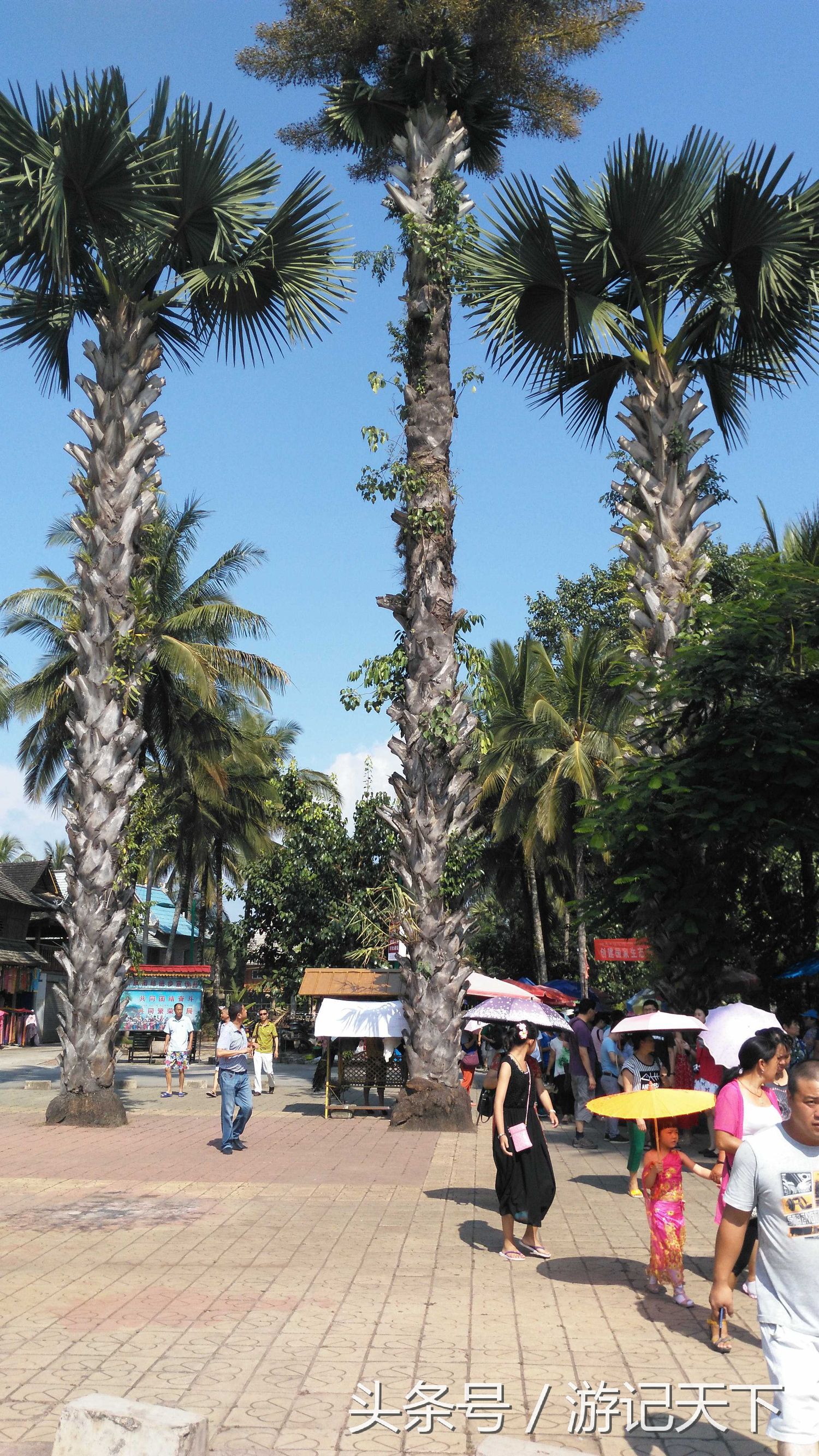 西双版纳深度游,西双版纳傣族园旅游攻略