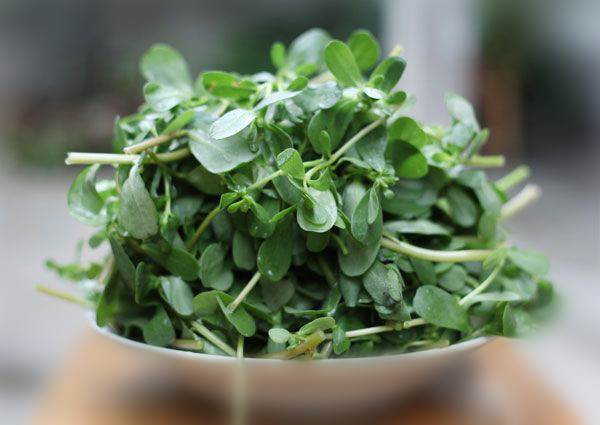 肚子疼警惕六种病腹泻,经常腹痛拉肚子该怎么调理