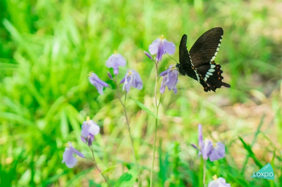 索尼a7详解,无关信仰唯有超越