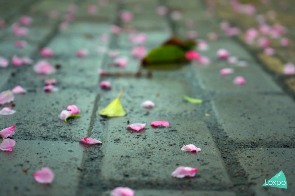 索尼a7详解,无关信仰唯有超越