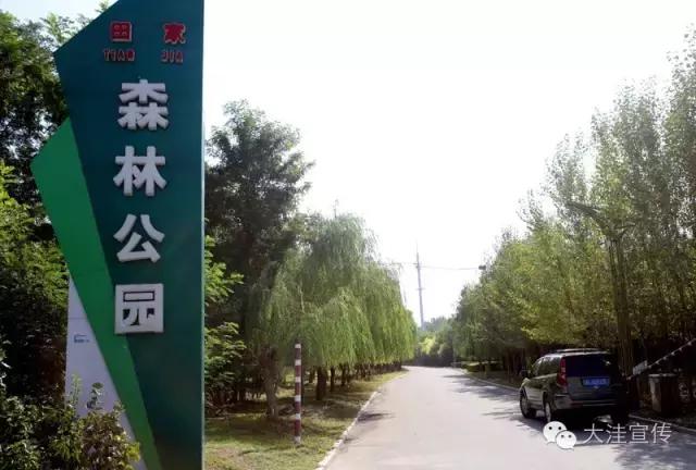 盘锦市田家街道：“我，就是全域风景”