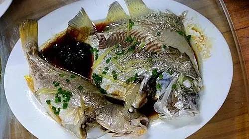 外伶仃岛岸边钓点,外伶仃岛钓鱿鱼钓点