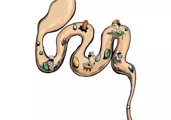 你知道吗？重庆人的肠道年龄普遍偏老！