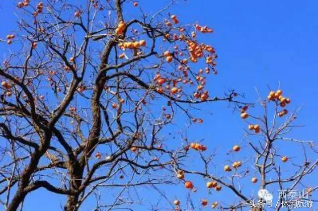 西泰山风景旅游区简介,河南西泰山风景区简介