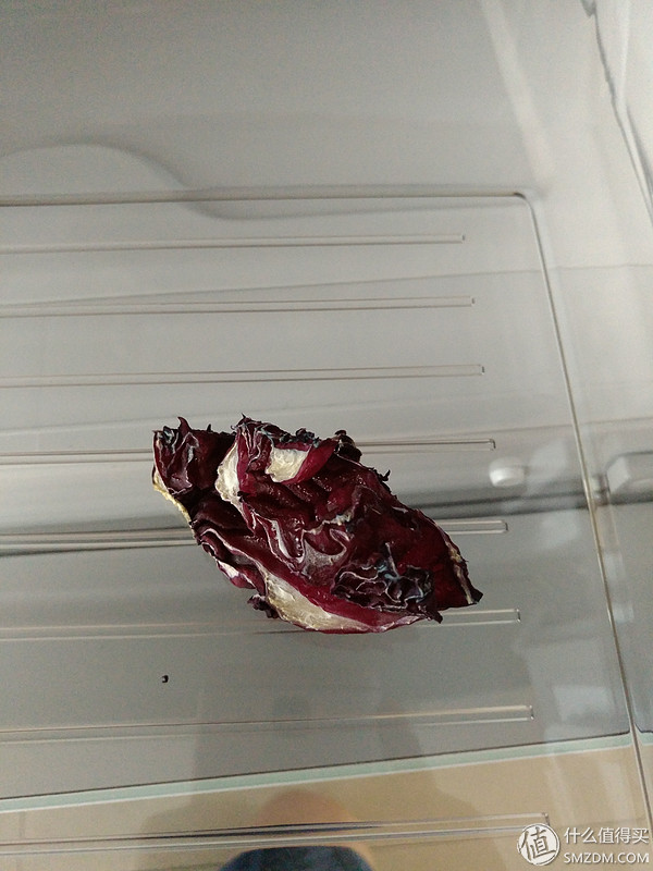 惠而浦bcd-252wte冰箱,惠而浦冰箱bcd518好吗