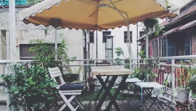 猫咪咖啡馆哪家最好,武汉有哪些猫咪咖啡厅