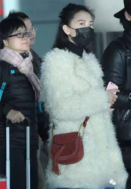 高圆圆带火的包包,高圆圆牛皮小包