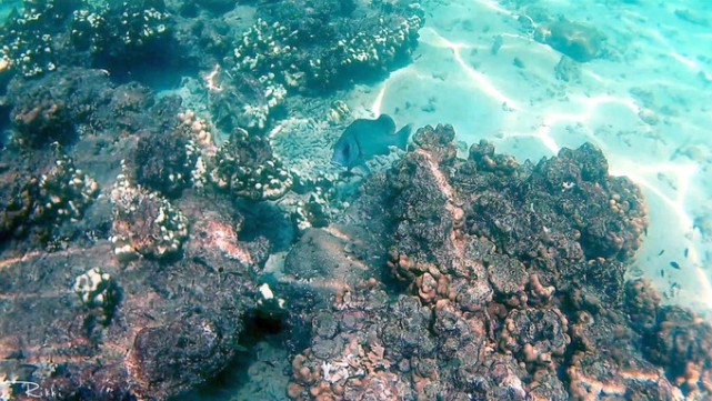 海岛兰卡威旅游,梦回兰卡威度假海岛