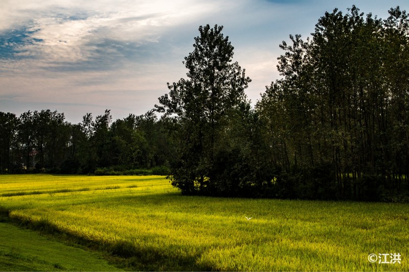 大美金寨:这里是人间天堂,这里是中国长寿之乡