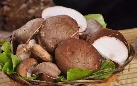 巴西男子身上莫名出现多处“鞭”痕,只因做了这件事...