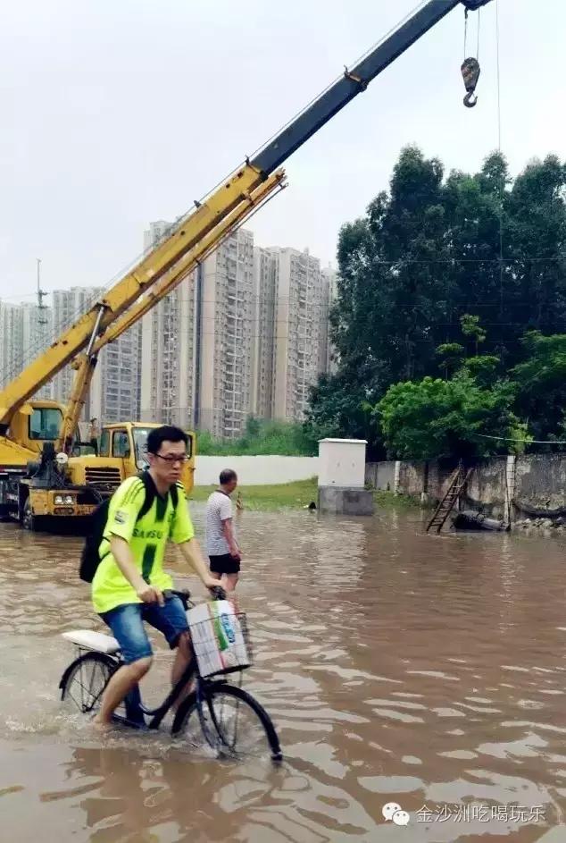 金沙洲哪里有水浸,金沙洲水浸吗