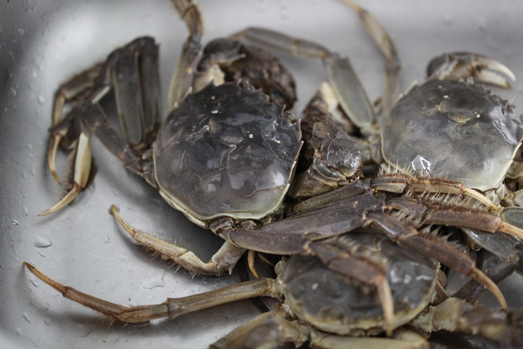 冰箱里放了海鲜后有腥味怎么去除,吃完海鲜怎么去除寒凉