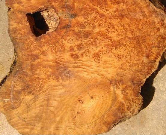 崖柏满瘤茶盘,瘤疤崖柏茶盘