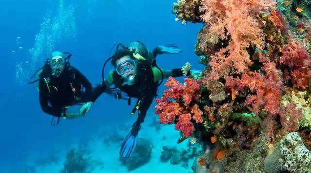 泰国沙美岛潜水有套路吗,泰国普吉岛潜水泳镜