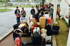 去日本买只马桶盖原文,去日本买只马桶盖原视频