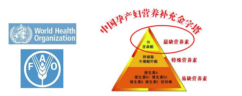 除了吃叶酸还要吃其他维生素吗,除了叶酸还有什么能代替