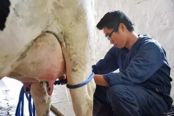 美国深泉学院的真相,深泉学院口碑怎么样