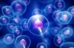 液体活检的“太子”们：ctDNA与CTC