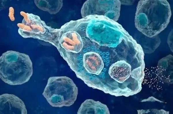 液体活检的“太子”们：ctDNA与CTC