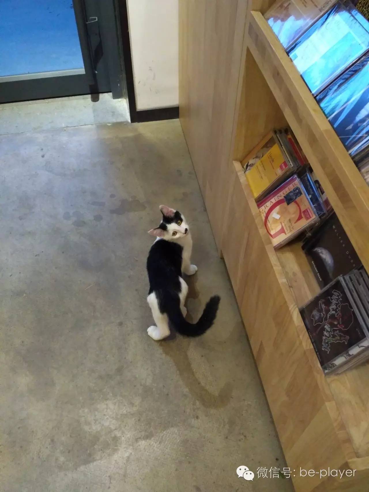 讨厌快阅读的你，可以去“摘刺”转转