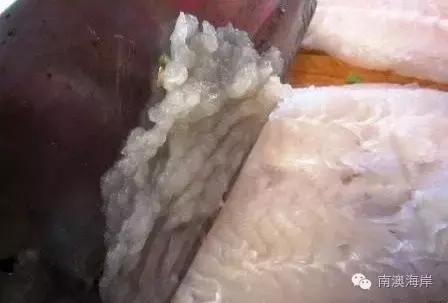 深澳有一种鱼丸，自带小说