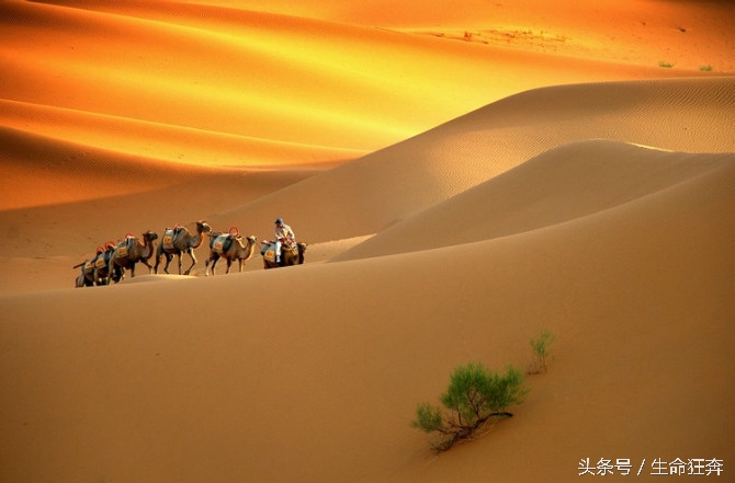 “三星”手机召回，唯独没有中国，“三星”的傲慢警醒了谁？