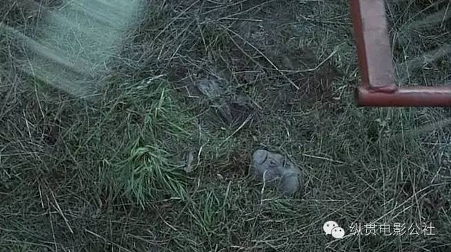 一口气看完系列杀人案件,一口气看完凶杀案